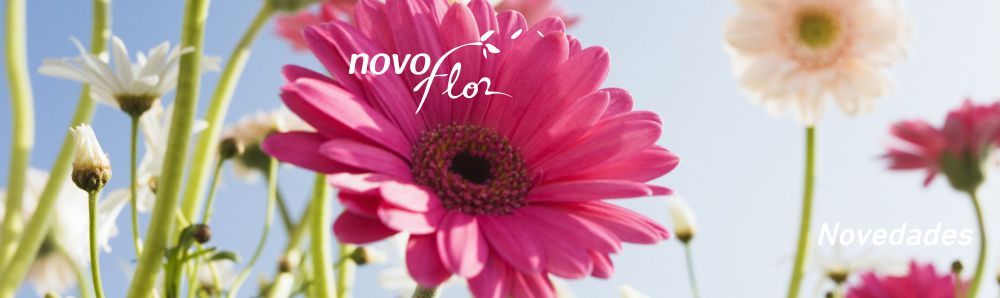 :: Novoflor | Novedades ::
